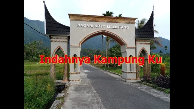 Indahnya di Hutan Raya Koto Malintang yang Memukau