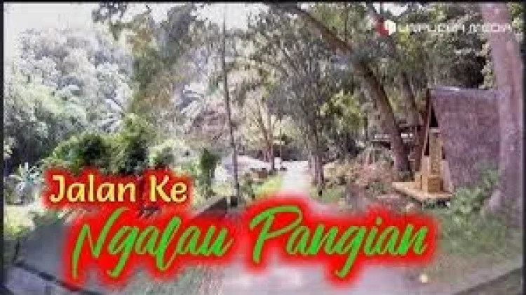 Ngalau Pangian Lintau Buo, "Gua Terindah di Asia Tenggara"