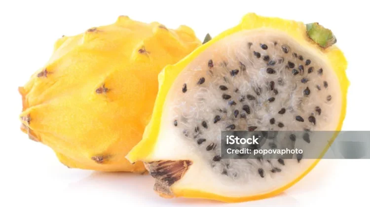 Manfaat Buah Naga Kuning untuk Tubuh