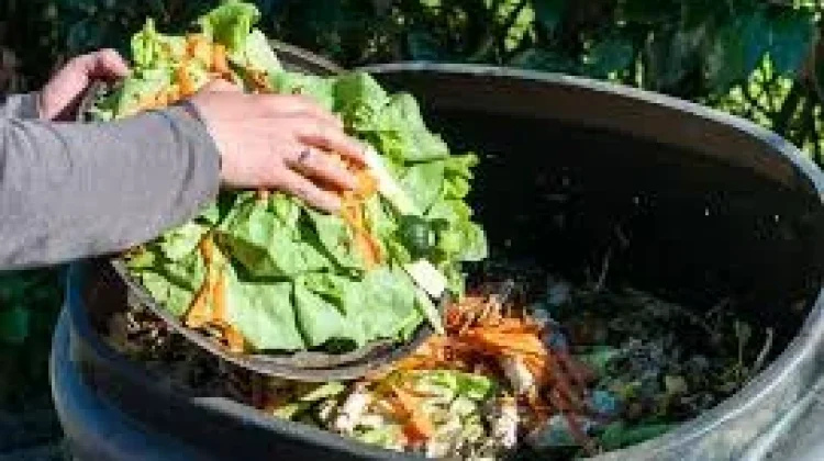 Produksi Biogas dapat Mengurangi Limbah Organik