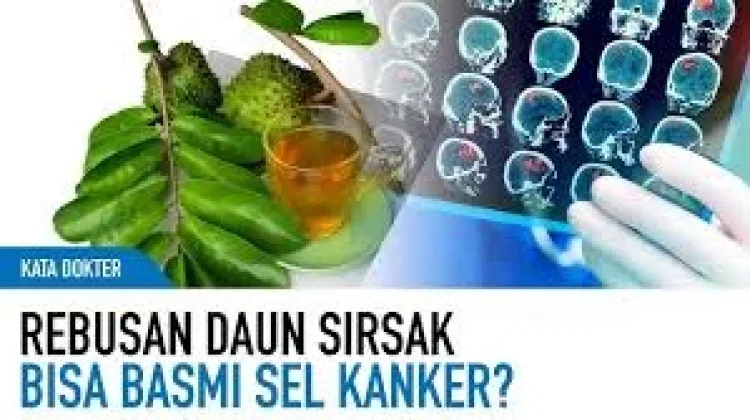 Manfaat Daun Sirsak Bagi Kesehatan