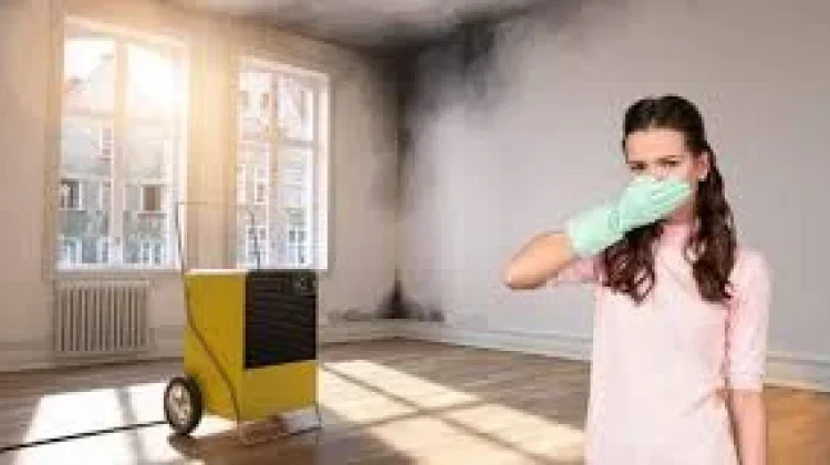 Tips Mencegah Penyakit dalam Rumah