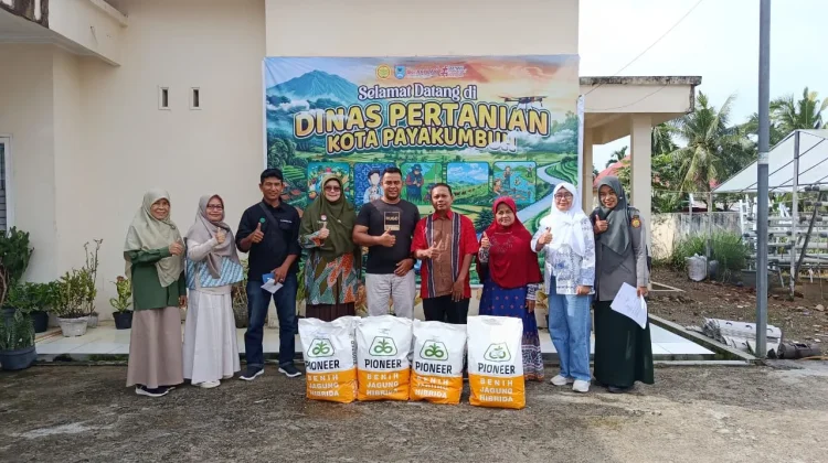 Pemko Payakumbuh Salurkan Bantuan Benih Jagung untuk Petani Terdampak Bencana