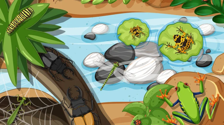 Mengenal Aquatic plants, dan Perannya dalam Ekosistem