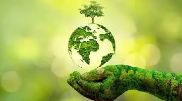 Eco-Friendly Lifestyle ala Gen Z, Simple tapi Berdampak
