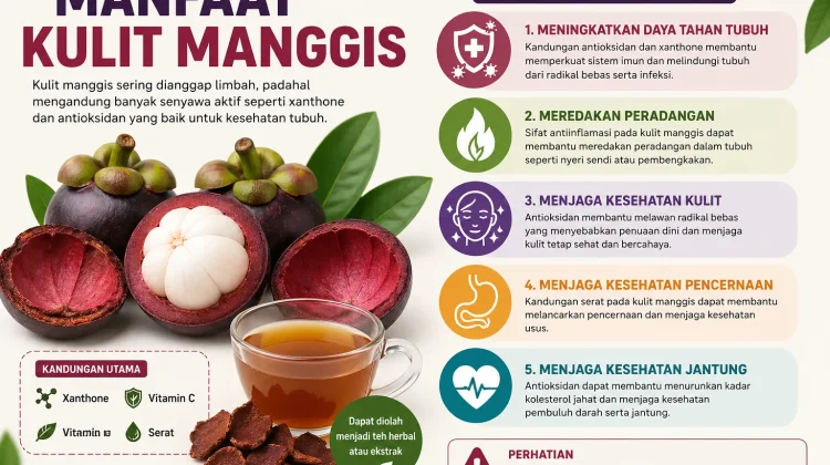 Manfaat Kulit Manggis bagi Kesehatan