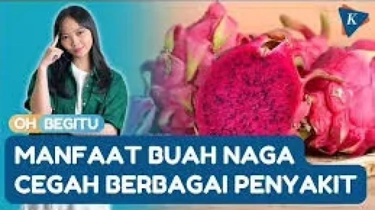 Buah Naga, dan Khasiatnya