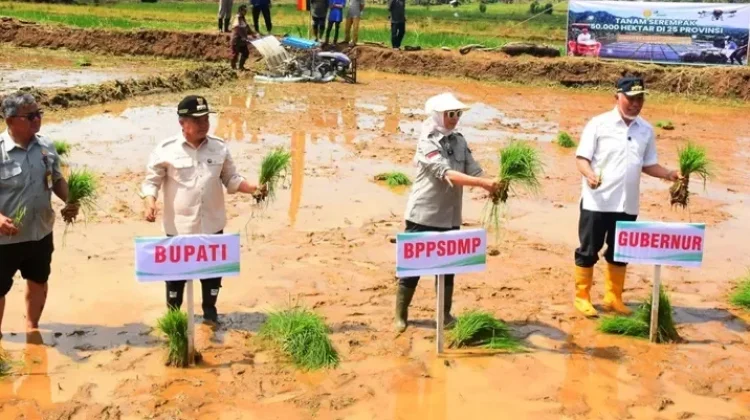 Pemkab Agam Komit Sukseskan Program Gerakan Tanam 50 Ribu Hektare di Tanjung Raya