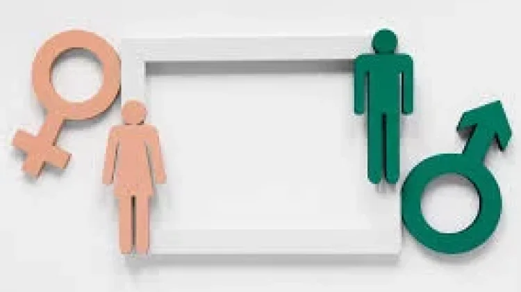 Perbedaan Minat Laki-Laki, dan Perempuan