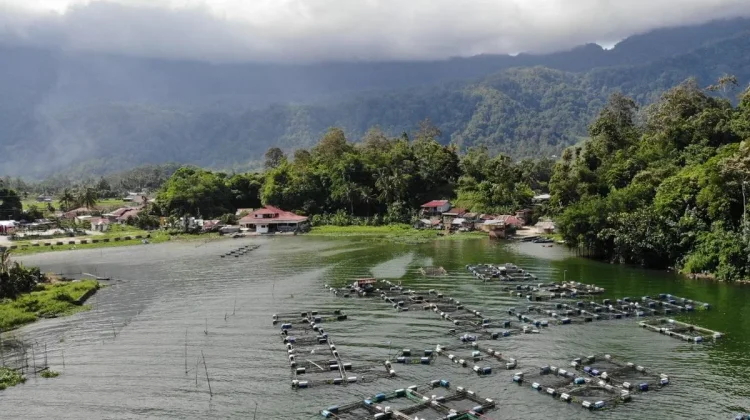 Danau Maninjau Keindahan Alam Sumatera Barat