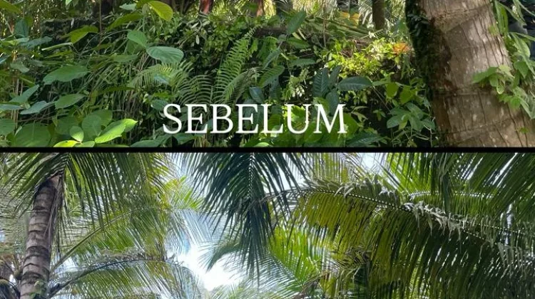 Satgas Karya Bakti Bergerak Cepat Siapkan Lahan Jembatan Berioulou