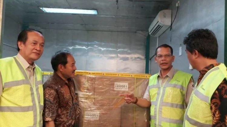 Tarif, dan Subsidi Ekspor Penyeimbang Ekonomi dalam Perdagangan Global