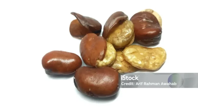 Manfaat Kacang Koro bagi Kesehatan Tubuh