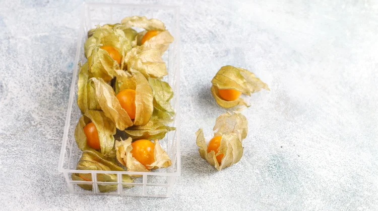 Rasa Manis Asam dari Buah yang Sering Terlupakan