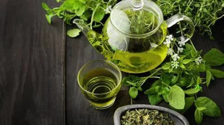 Bukan Sekadar Minuman, "Ini Rahasia Sehat di Balik Teh Hijau"
