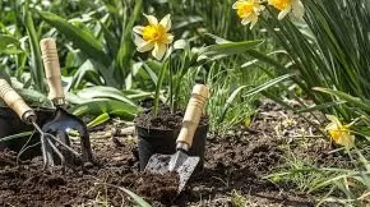 Berkebun Menjadi Cara Sederhana Mencari Ketenangan
