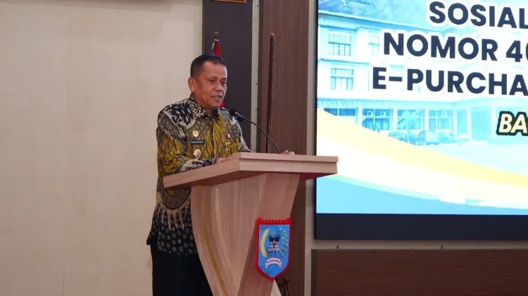 Wawako Payakumbuh Dorong Trans Belanja Daerah lewat e-Katalog V6