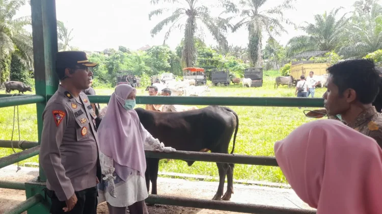Polres Pasbar Ingatkan Masyarakat Waspada Pencurian Ternak jelang Idul Adha