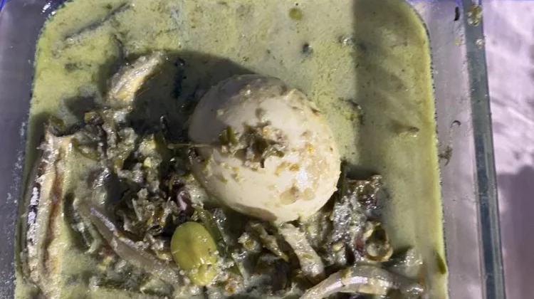Gulai Paku Lado Kutu, campur Telur Rebus, Petai dan Teri