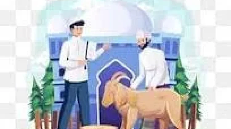 Cara Penyembelihan Hewan Kurban Sesuai Syariat, dan Kesejahteraan Hewan