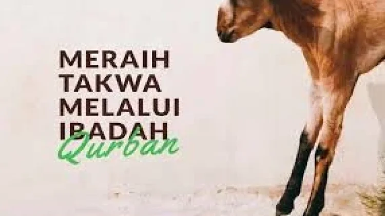 Kewajiban Berkurban dalam Islam