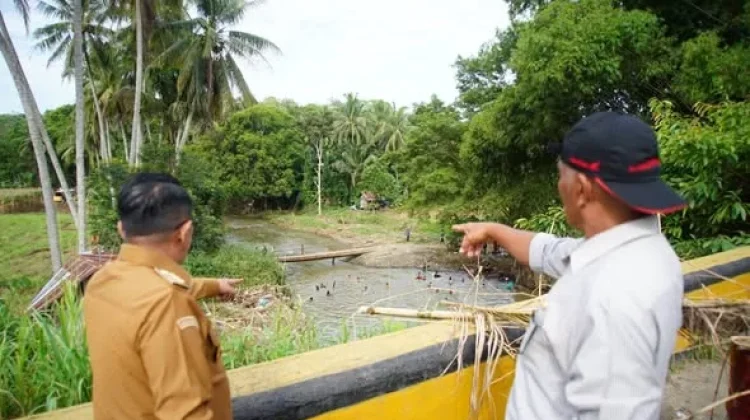 Bupati Tinjau Jembatan Titian Putiah yang Rusak akibat Banjir