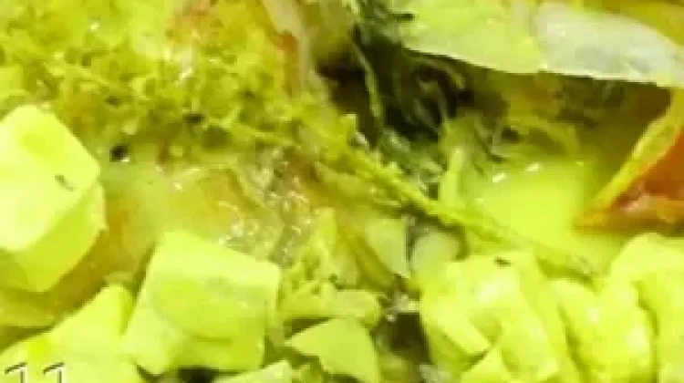 Pangek Masin Ikan Kerapu Kuah Kuning yang Nikmat Sekali