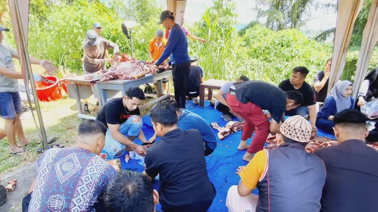 Grand Rocky Hotel Group Tebar Kepedulian, Sembelih Tiga Sapi Kurban idul Adha 1447 H