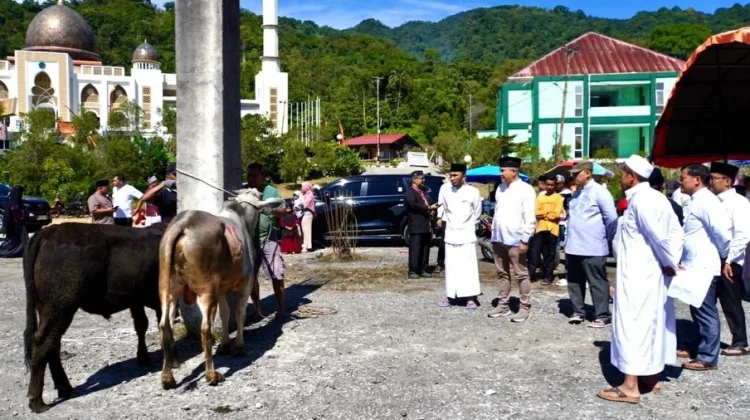 Pemko Padang Panjang Sembelih 9 Sapi Kurban di Islamic Centre, 500 Kupon Dibagi