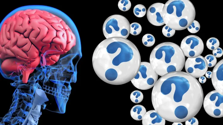 Fenomena Brain Rot yang Lagi Dibahas Anak Muda, Otak Lelah karena Konten Receh?