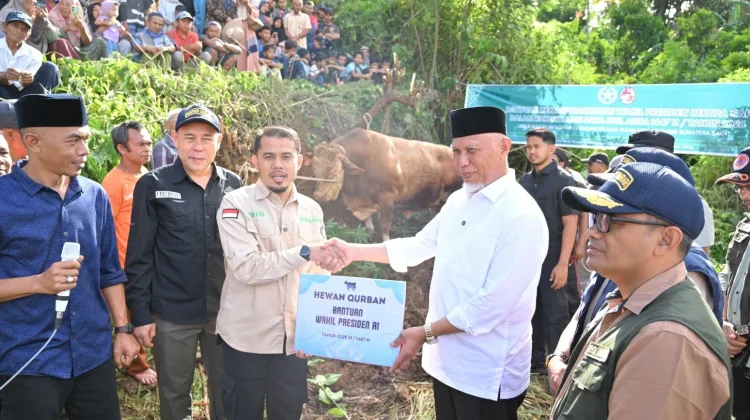 Gubernur Mahyeldi Hadiri Penyembelihan Sapi Qurban Bantuan Wapres