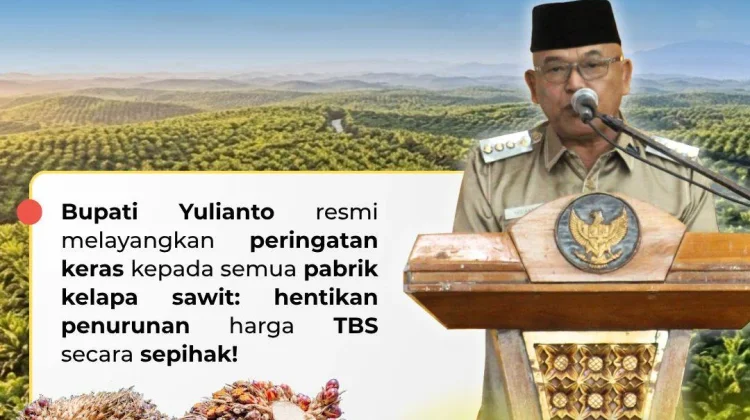 Bupati Pasbar Larang PKS Turunkan Harga TBS Sepihak