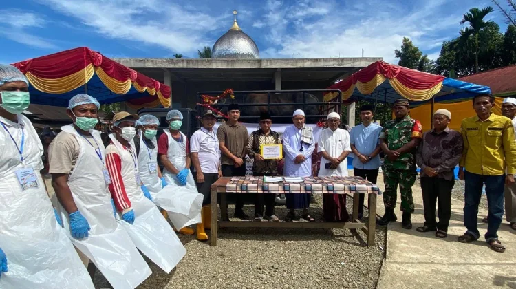 Sapi Kurban Prabowo Disembelih Gunung Tuleh Pasbar