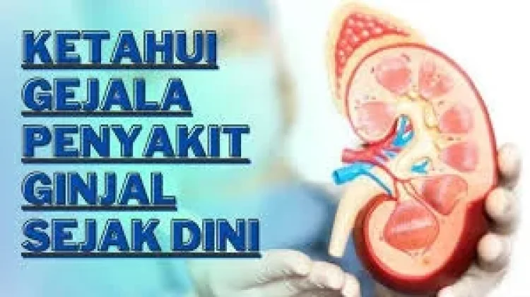 Kenali Gejala Penyakit Ginjal sebelum Terlambat