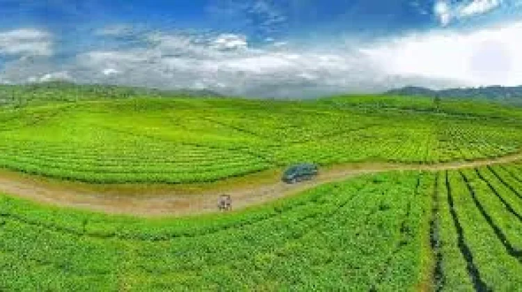 Wisata Alahan Panjang Permata Sejuk di Kabupaten Solok Sumbar