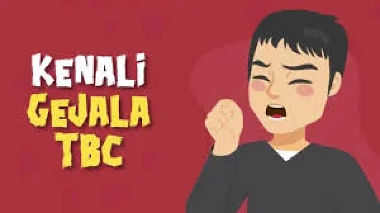 Penyakit Tuberkulosis,"Ini Gejala, dan Pengobatannya"