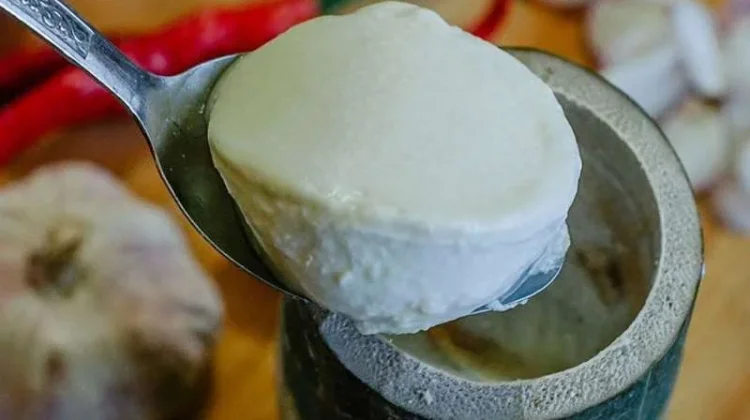Dadiah, Fermentasi Khas Minangkabau Kaya Bakteri Baik