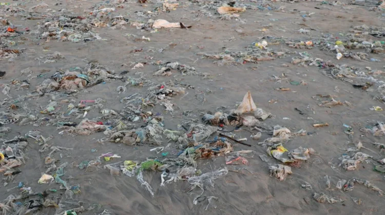 Dampak Sampah Plastik terhadap Ekosistem Sungai, dan Laut