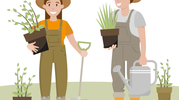 Tren Hobi Berkebun yang Semakin Diminati Masyarakat