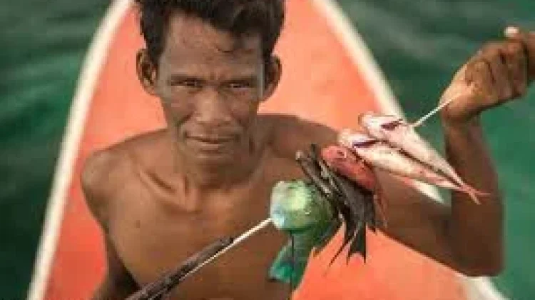 Suku Bajo, "Penjaga Harmoni Kehidupan Pesisir Sombori"