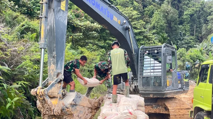 Satgas TNI AD Mentawai Bahu Membahu Percepat Pembangunan Jembatan Penghubung