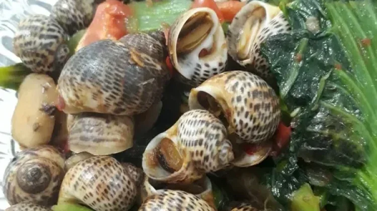 Tumis Kaleok, "Kelezatan Tradisional dari Aliran Sungai Sumatra"