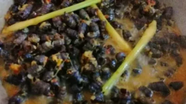Tumis Kaleok, "Kelezatan Tradisional dari Aliran Sungai Sumatra"