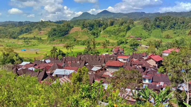 Desa Wisata Sarugo, Warisan Seribu Gonjong Limapuluh Kota