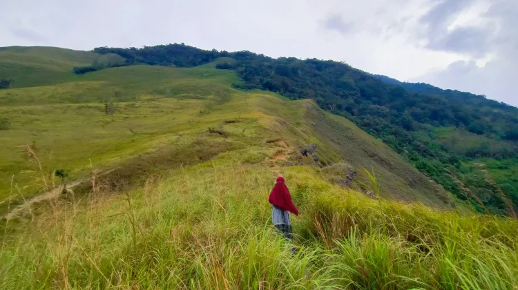 Keelokan Alam Ranah Minang dari Tebing Puncak Gagoan