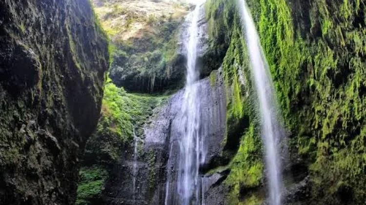 Air Terjun Madakaripura, Tempat Bertapa Patih Gajah Mada