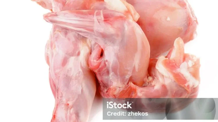 Inilah Berbagai Manfaat Daging Kelinci