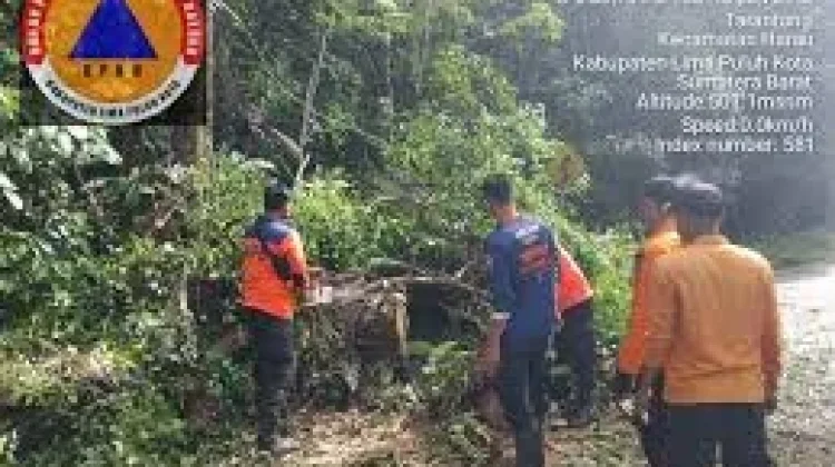 BPBD 50 Kota Giatkan Pembersihan Pohon Tumbang di Nagari Tarantang Harau