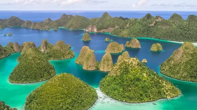 Pulau Siaba Besar, Destinasi Rumah Koloni Penyu Hijau