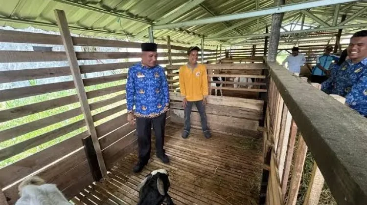 Bupati Safni Ingin Disnakeswan Perkuat Pengembangan Pakan Ternak Mandiri